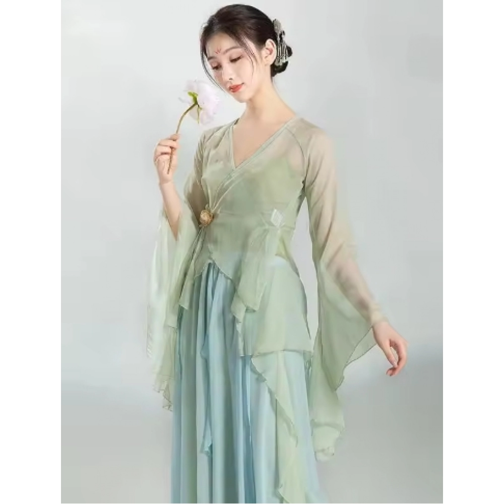 Chinese Classical Dance Dress Flowing Chinese Style Half Skirt Chiffon National Style Stage Performance Costume