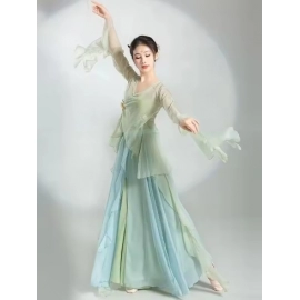 Chinese Classical Dance Dress Flowing Chinese Style Half Skirt Chiffon National Style Stage Performance Costume