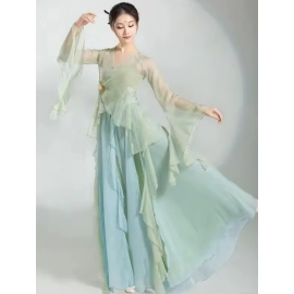 Chinese Classical Dance Dress Flowing Chinese Style Half Skirt Chiffon National Style Stage Performance Costume